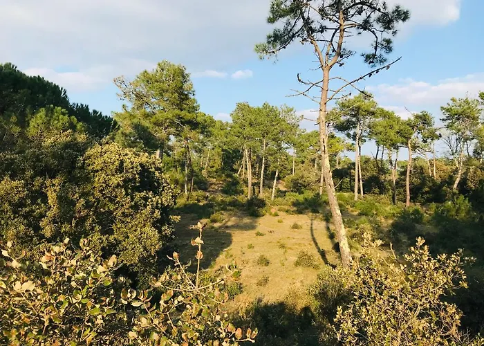 Apartamento Des Becs, Convivialite Marine *